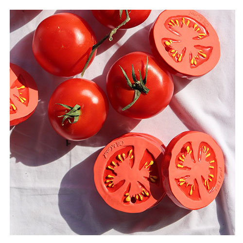 Tomato shaped rubber teething toy by Oli & Carol pictured with real tomatoes